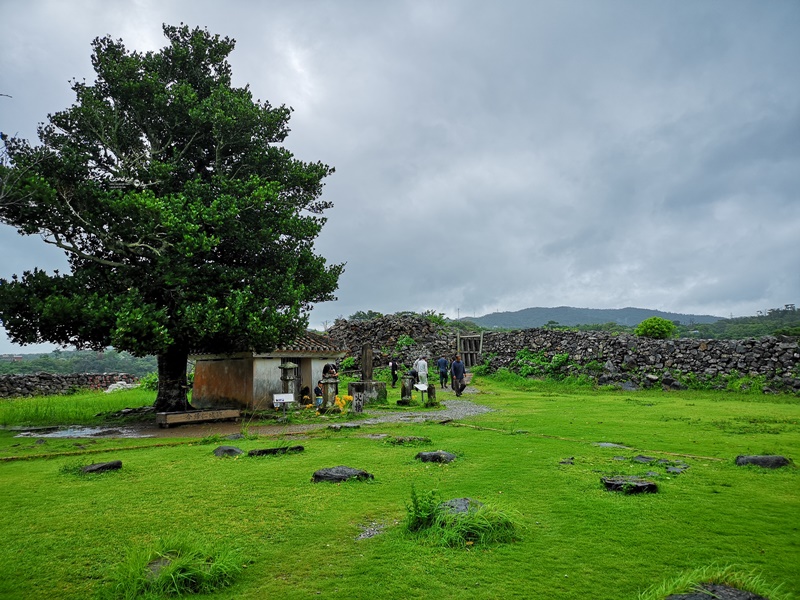 今歸仁城跡｜眺望海邊古城!世界遺產,櫻花季最美(沖繩北部景點)