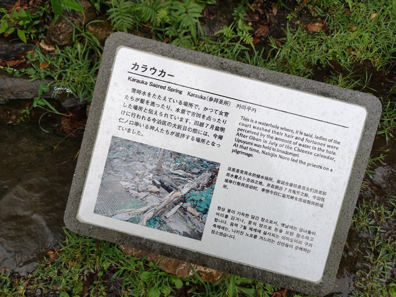 今歸仁城跡｜眺望海邊古城!世界遺產,櫻花季最美(沖繩北部景點)