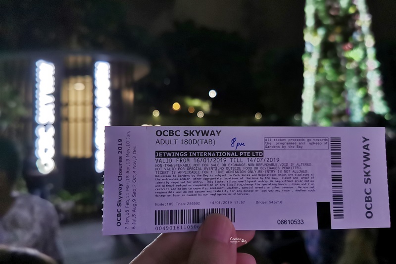 OCBC SKYWAY｜必去超級樹空中走廊,在上面看超級樹燈光秀超漂亮!