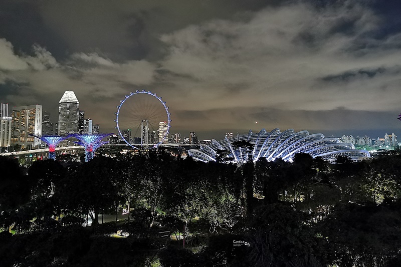 OCBC SKYWAY｜必去超級樹空中走廊,在上面看超級樹燈光秀超漂亮!