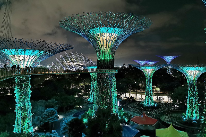 OCBC SKYWAY｜必去超級樹空中走廊,在上面看超級樹燈光秀超漂亮!