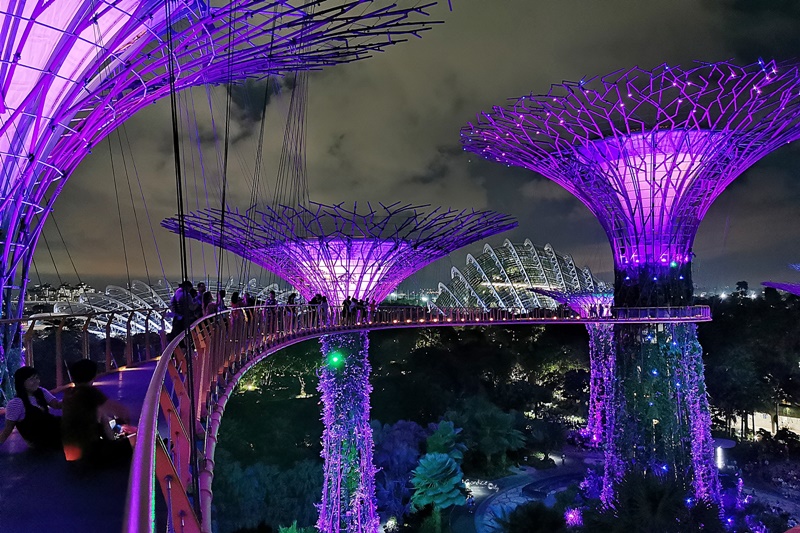 OCBC SKYWAY｜必去超級樹空中走廊,在上面看超級樹燈光秀超漂亮!