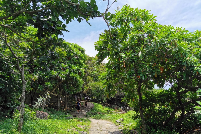 北關海潮公園｜這裡有宜蘭一線天!宜蘭景點超美海濱公園!