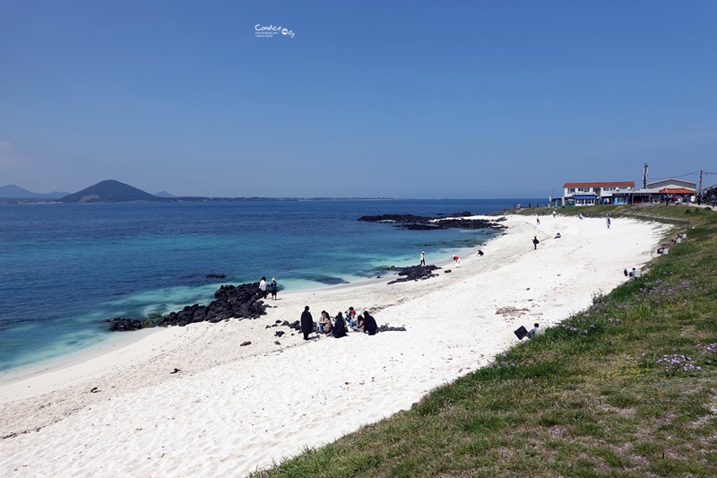 濟州島牛島攻略｜搭船前往牛島交通!濟州島必訪景點,牛島八景好美!