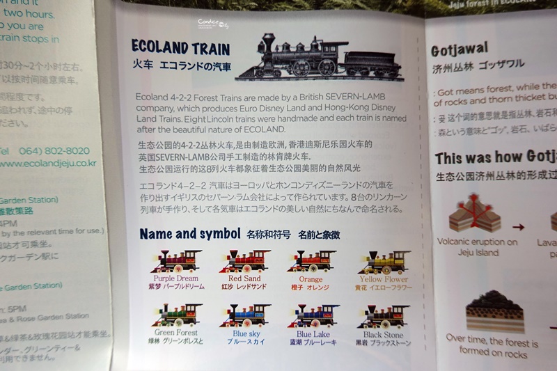 ECOLAND 森林小火車｜濟州島超可愛景點!搭乘小火車玩花園,超好拍!