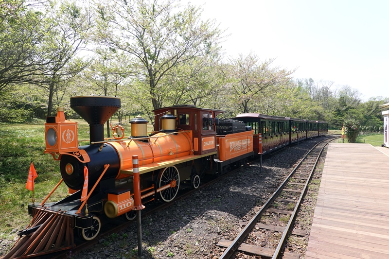 ECOLAND 森林小火車｜濟州島超可愛景點!搭乘小火車玩花園,超好拍!