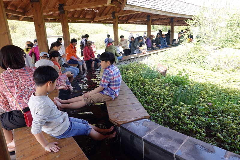 ECOLAND 森林小火車｜濟州島超可愛景點!搭乘小火車玩花園,超好拍!