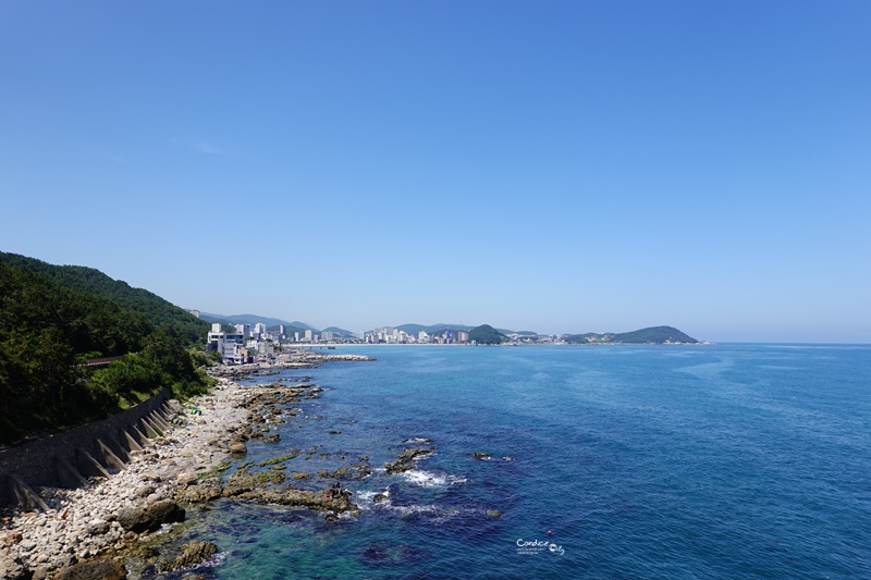 青沙浦天空步道｜半日遊攻略!旁邊還有紅白燈塔(交通/咖啡廳/公車)