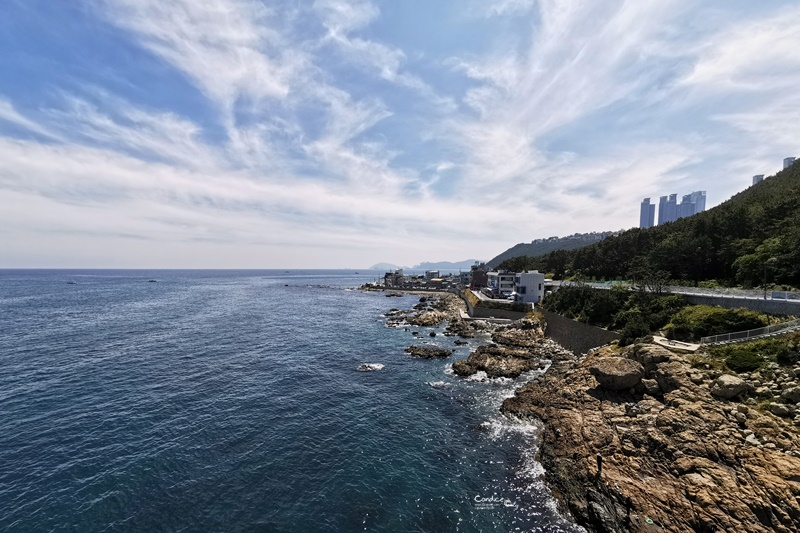 青沙浦天空步道｜半日遊攻略!旁邊還有紅白燈塔(交通/咖啡廳/公車)