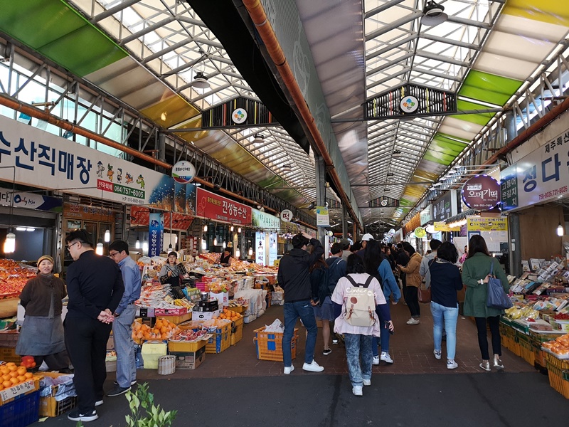 黑豬肉一條街,東門市場,生魚片一條街,中央地下街｜濟州島必去景點1次訪!