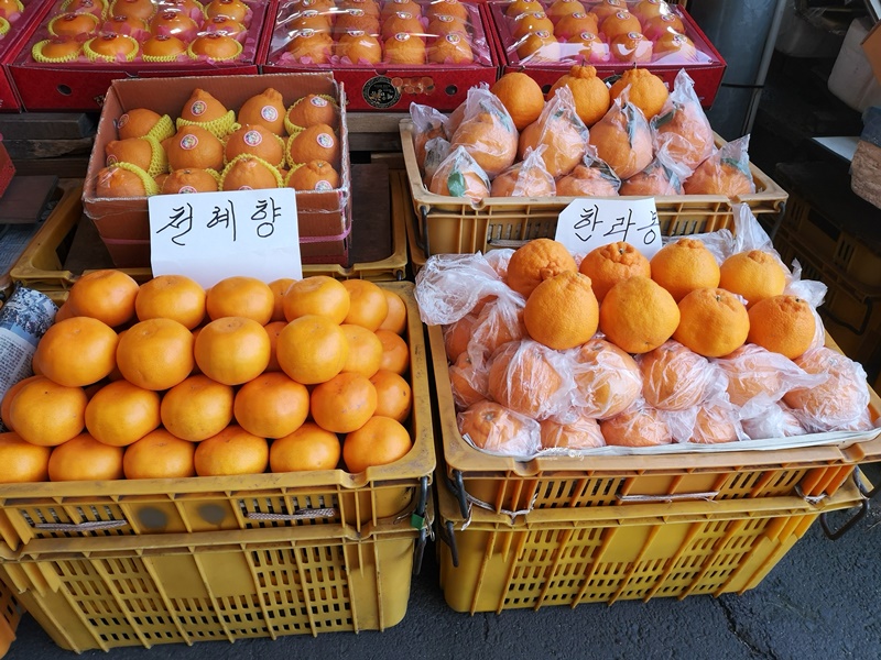 黑豬肉一條街,東門市場,生魚片一條街,中央地下街｜濟州島必去景點1次訪!