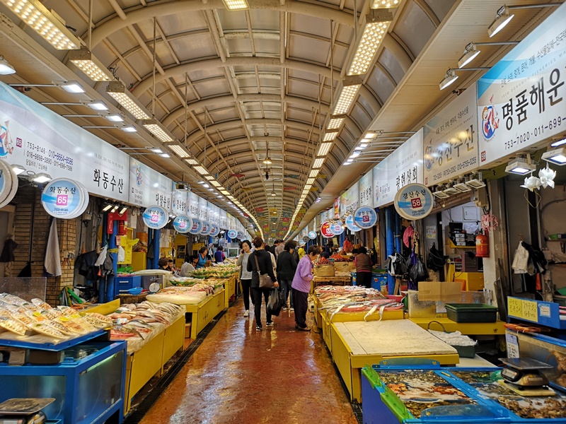 黑豬肉一條街,東門市場,生魚片一條街,中央地下街｜濟州島必去景點1次訪!