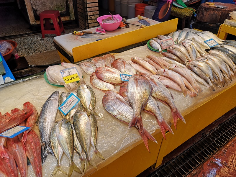 黑豬肉一條街,東門市場,生魚片一條街,中央地下街｜濟州島必去景點1次訪!