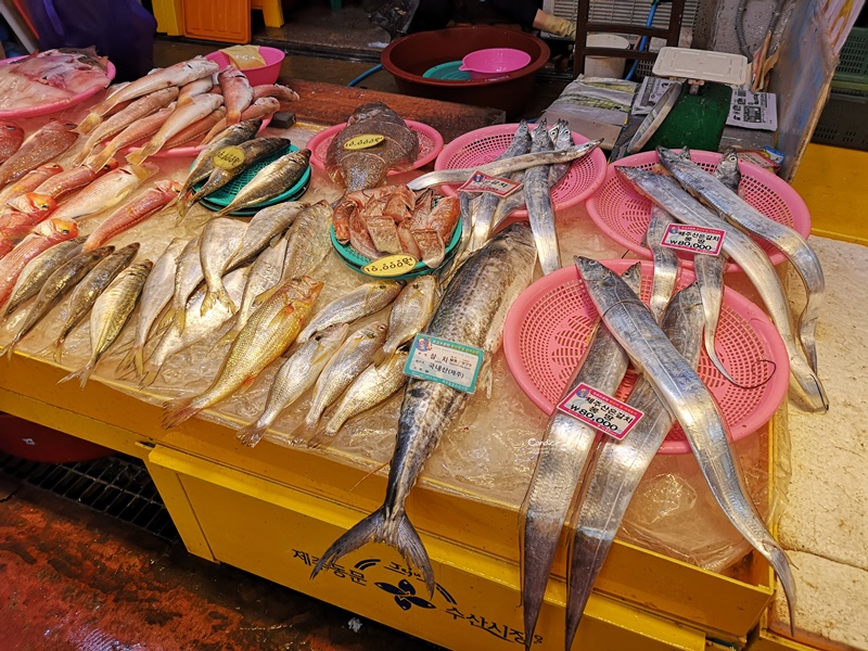 黑豬肉一條街,東門市場,生魚片一條街,中央地下街｜濟州島必去景點1次訪!