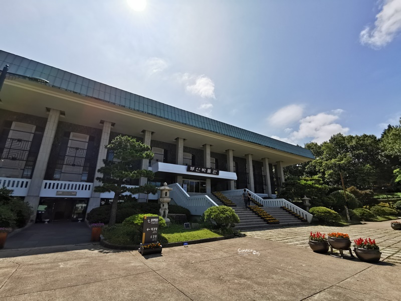 釜山博物館｜民俗體驗館免費穿韓服體驗!預約交通茶道體驗分享!