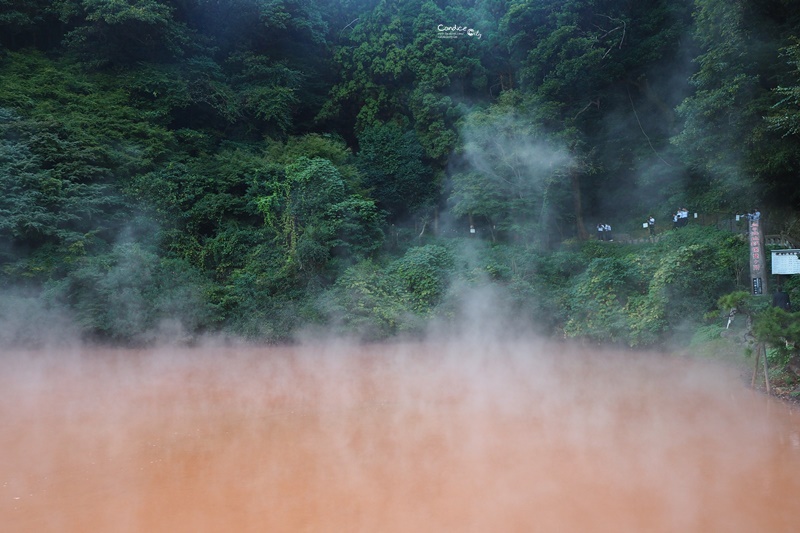 別府溫泉地獄-血之池地獄｜紅色溫泉神秘又特別!