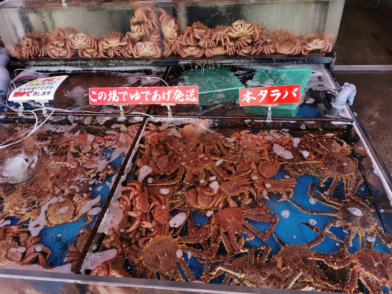 函館朝市｜吃北海道海鮮好地方!購買海產乾貨!北海道必去景點!