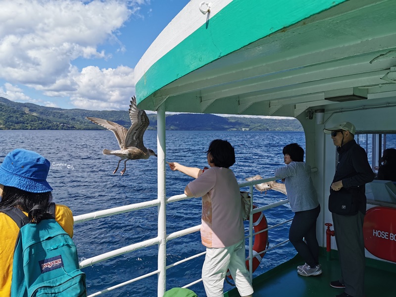 洞爺湖汽船｜必搭乘洞爺湖遊覽船賞湖一圈,登中島欣賞湖畔美景!