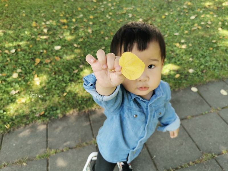 洞爺湖汽船｜必搭乘洞爺湖遊覽船賞湖一圈,登中島欣賞湖畔美景!