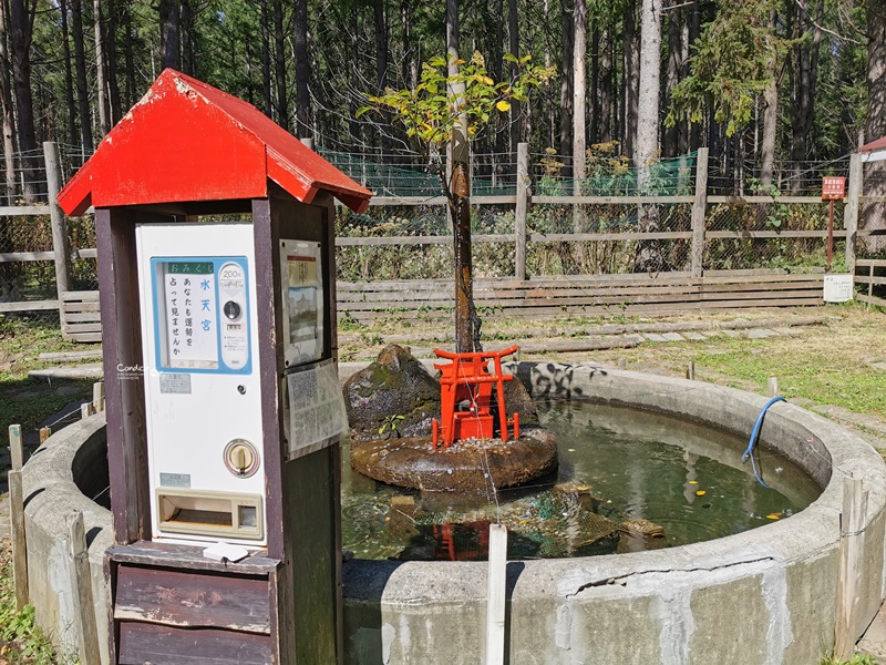 洞爺湖汽船｜必搭乘洞爺湖遊覽船賞湖一圈,登中島欣賞湖畔美景!