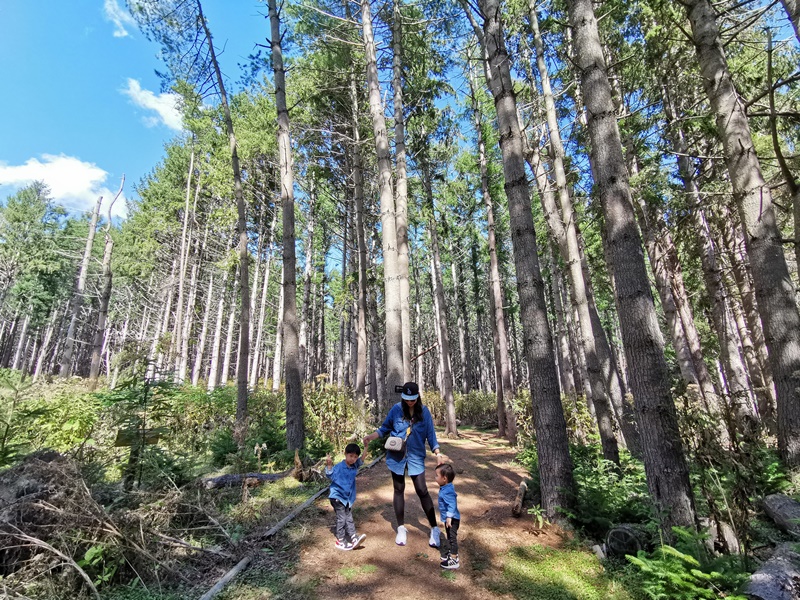 洞爺湖汽船｜必搭乘洞爺湖遊覽船賞湖一圈,登中島欣賞湖畔美景!