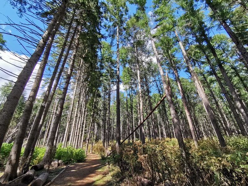 洞爺湖汽船｜必搭乘洞爺湖遊覽船賞湖一圈,登中島欣賞湖畔美景!