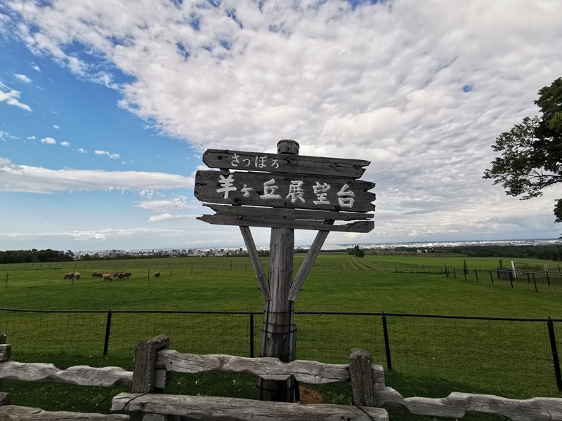 羊蹄之丘展望台｜鳥瞰札幌市區風景!超美北海道札幌景點推薦!