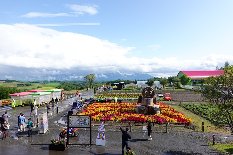 四季彩之丘｜超美的彩色花地毯!午餐好吃!北海道美瑛景點必去!