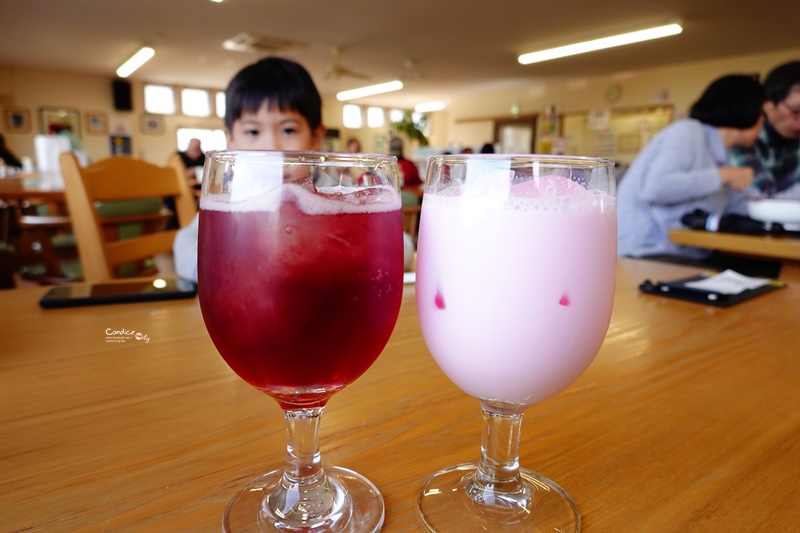 四季彩之丘｜超美的彩色花地毯!午餐好吃!北海道美瑛景點必去!