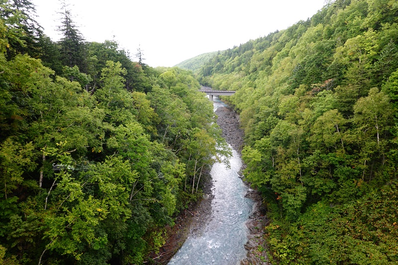 白鬚瀑布｜好停車,日本北海道景點必去!美瑛景點推薦!