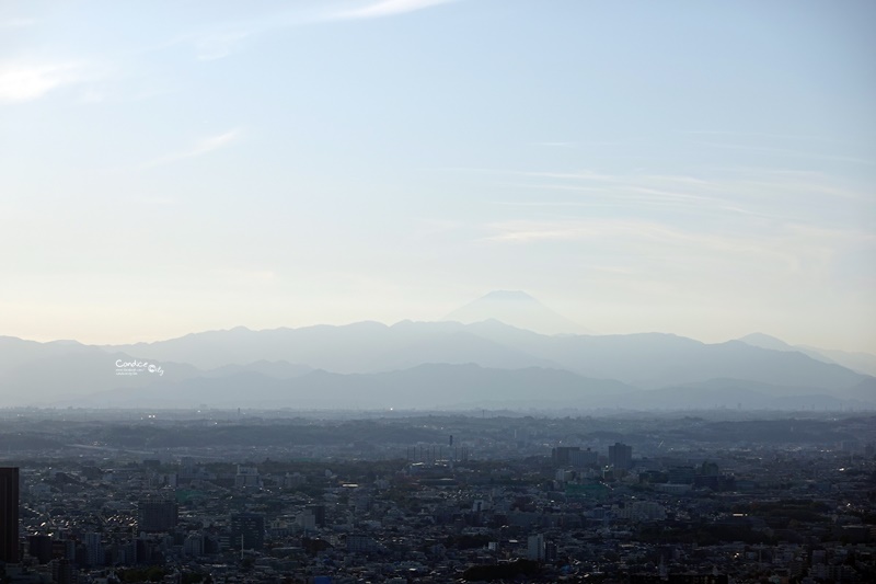 SHIBUYA SKY澀谷展望台,澀谷新地標,超美澀谷觀景台/門票/預約一次看!