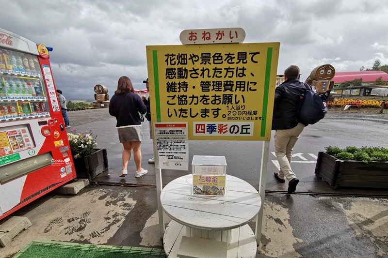 四季彩之丘｜超美的彩色花地毯!午餐好吃!北海道美瑛景點必去!