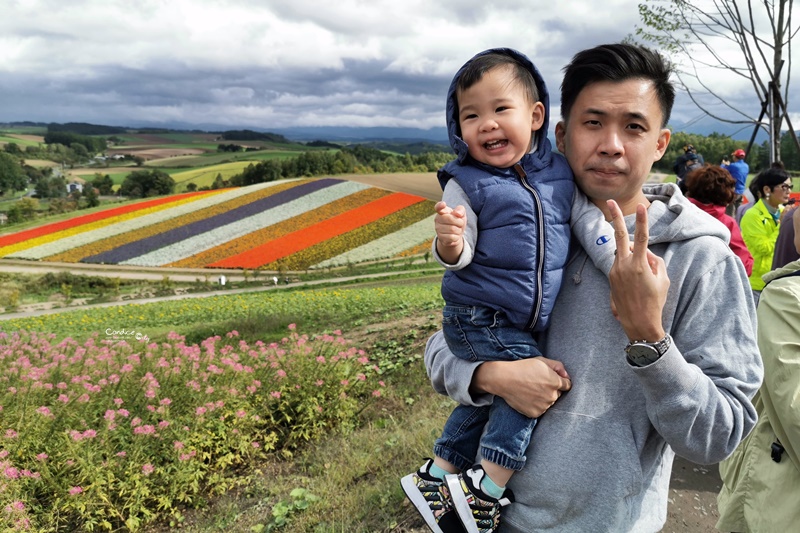 四季彩之丘｜超美的彩色花地毯!午餐好吃!北海道美瑛景點必去!