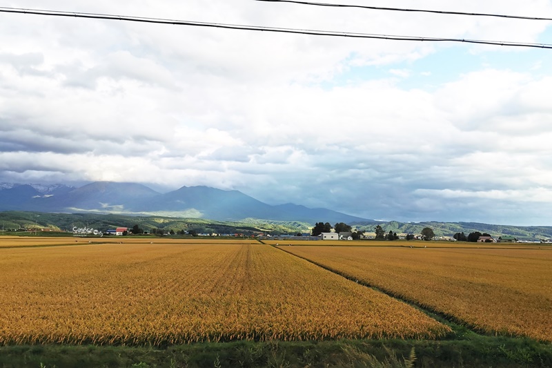 白鬚瀑布｜好停車,日本北海道景點必去!美瑛景點推薦!