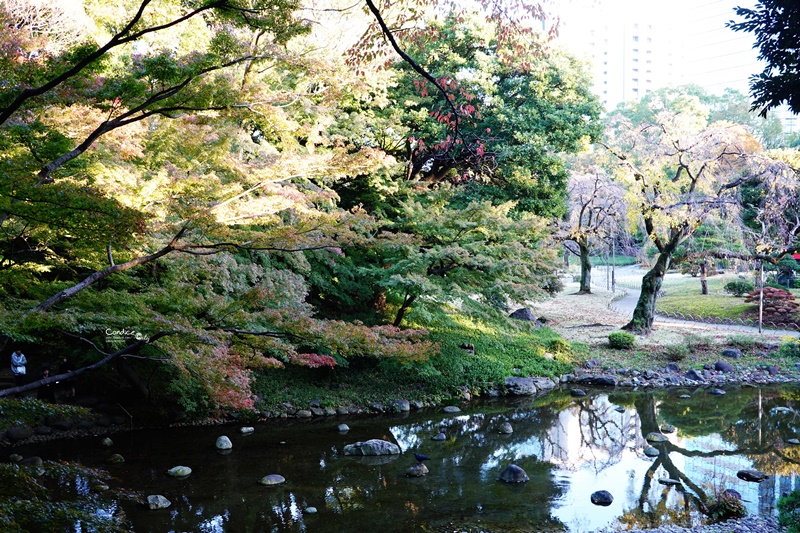 小石川後樂園｜超美東京楓葉景點推薦!東京賞楓必去!中國風日式庭園!