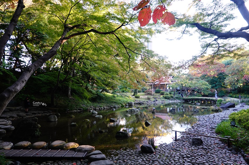 小石川後樂園｜超美東京楓葉景點推薦!東京賞楓必去!中國風日式庭園!