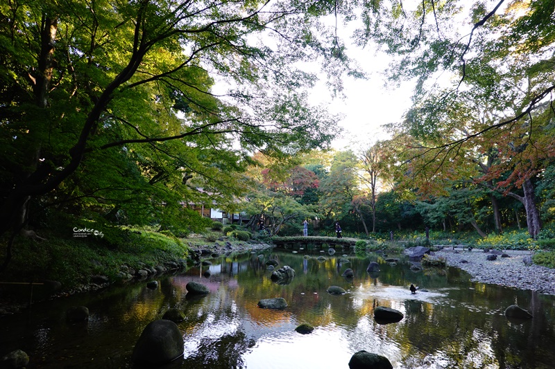 小石川後樂園｜超美東京楓葉景點推薦!東京賞楓必去!中國風日式庭園!