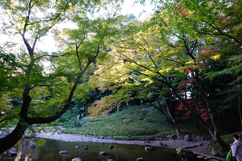 小石川後樂園｜超美東京楓葉景點推薦!東京賞楓必去!中國風日式庭園!