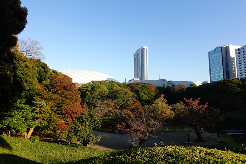 小石川後樂園｜超美東京楓葉景點推薦!東京賞楓必去!中國風日式庭園!