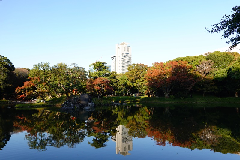 小石川後樂園｜超美東京楓葉景點推薦!東京賞楓必去!中國風日式庭園!