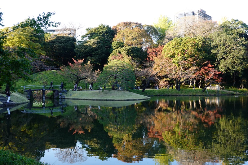 小石川後樂園｜超美東京楓葉景點推薦!東京賞楓必去!中國風日式庭園!