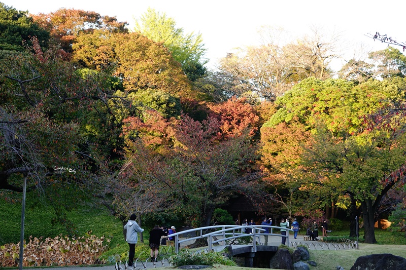 小石川後樂園｜超美東京楓葉景點推薦!東京賞楓必去!中國風日式庭園!