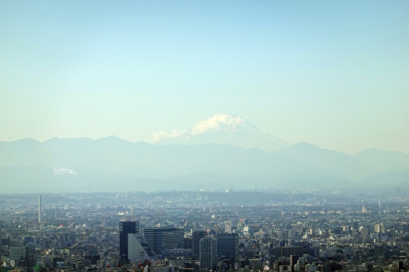 SKY CIRCUS陽光60瞭望台｜東京觀景台,馬戲團概念!除了觀景還有超美光影台!