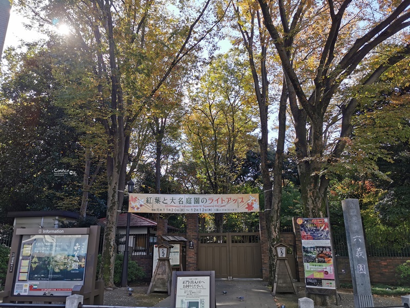 六義園｜超美東京名園!東京賞楓銀杏櫻花季節必訪!