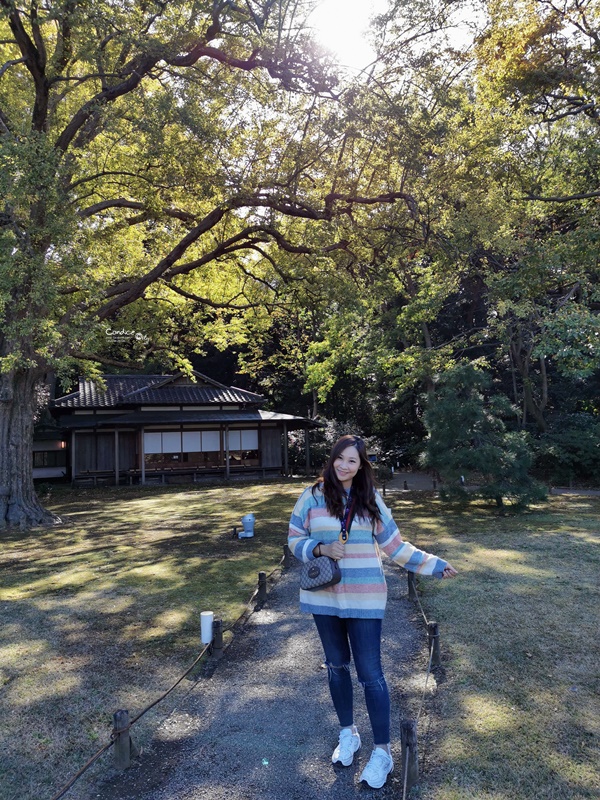 六義園｜超美東京名園!東京賞楓銀杏櫻花季節必訪!