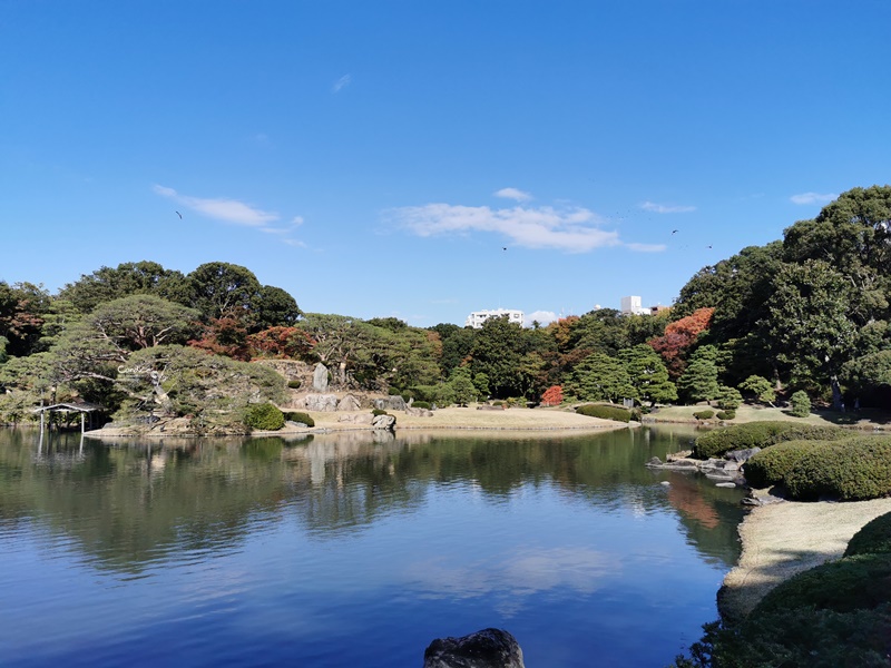 六義園｜超美東京名園!東京賞楓銀杏櫻花季節必訪!