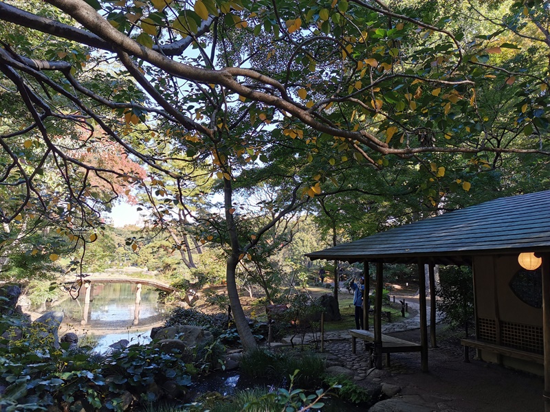 六義園｜超美東京名園!東京賞楓銀杏櫻花季節必訪!