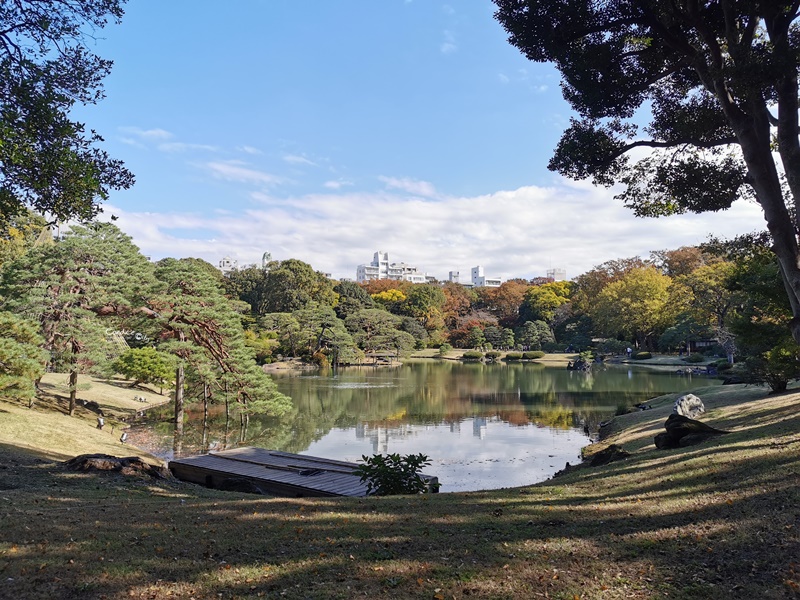 六義園｜超美東京名園!東京賞楓銀杏櫻花季節必訪!