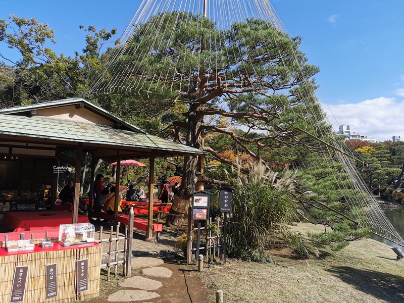 六義園｜超美東京名園!東京賞楓銀杏櫻花季節必訪!