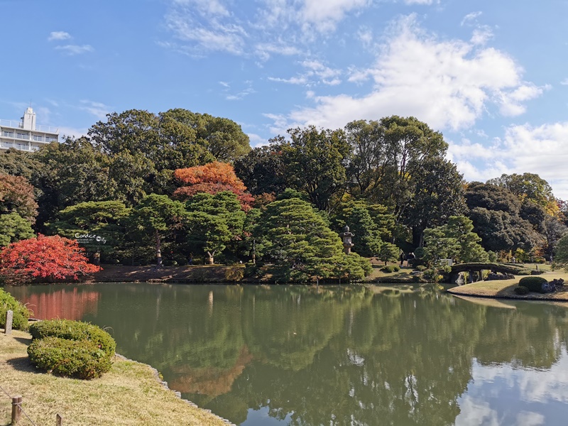 六義園｜超美東京名園!東京賞楓銀杏櫻花季節必訪!